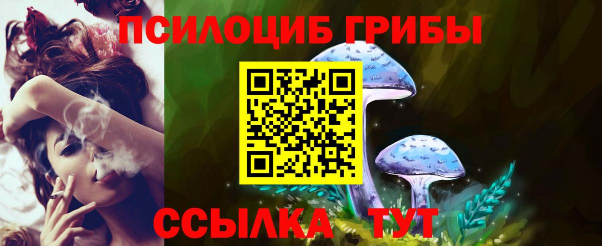 Псилоцибиновые грибы Magic Shrooms Владимир