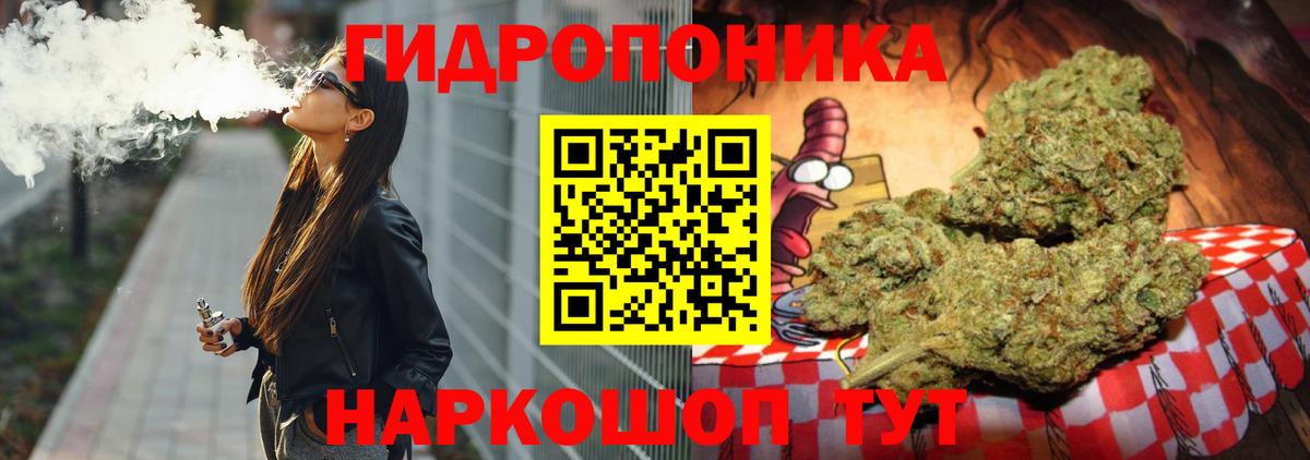 Бошки марихуана план  Марихуана ГИДРОПОН  Владимир  Бошки марихуана Bruce Banner  Вход с VPN 